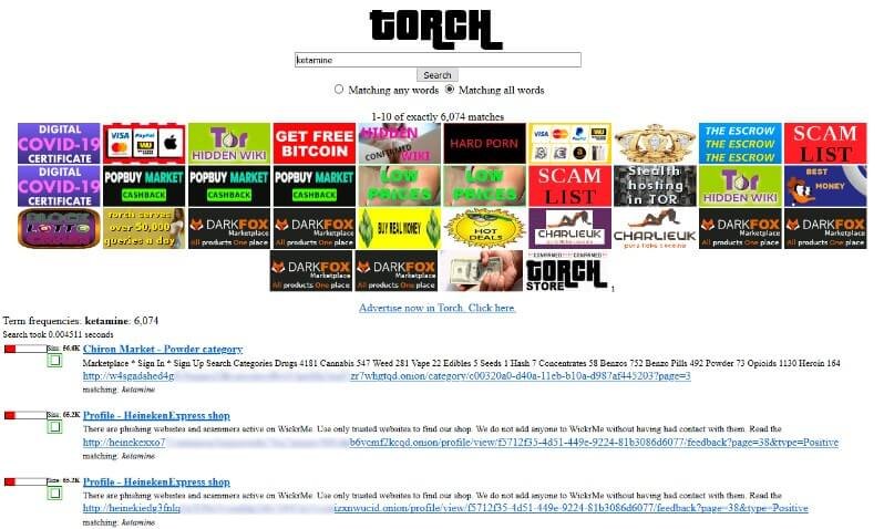شبكة Tor المستخدمة في محرك Torch لاستكشاف الويب المظلم.